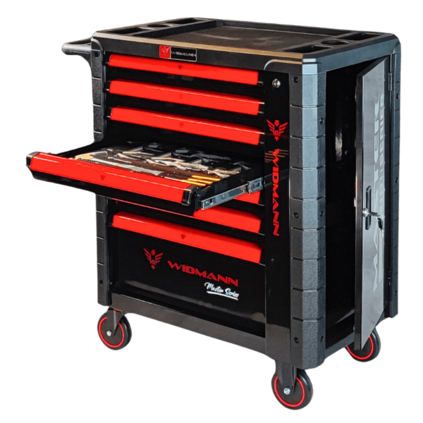 widmann master series poster 3